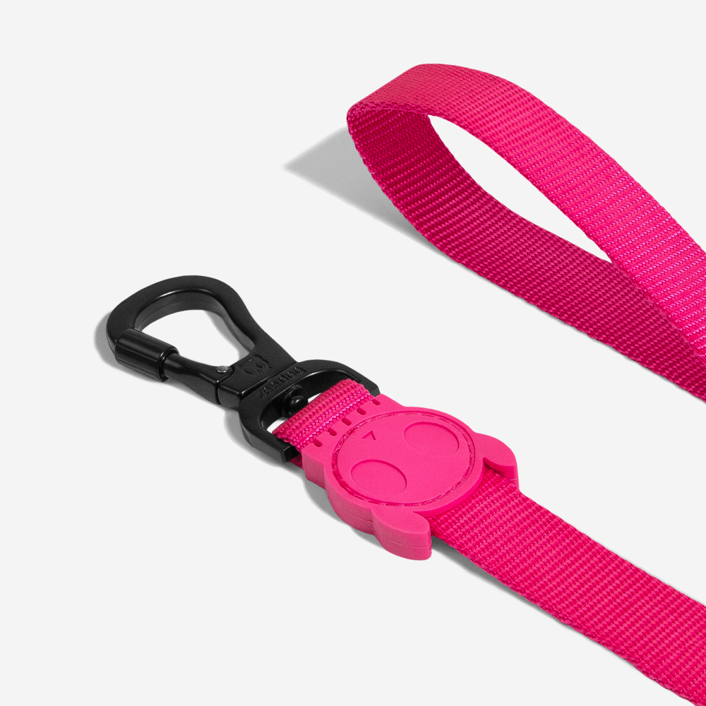 Correa Pink Led - Para Perro