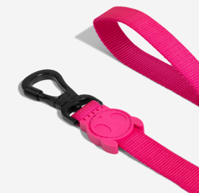 Correa Pink Led - Para Perro