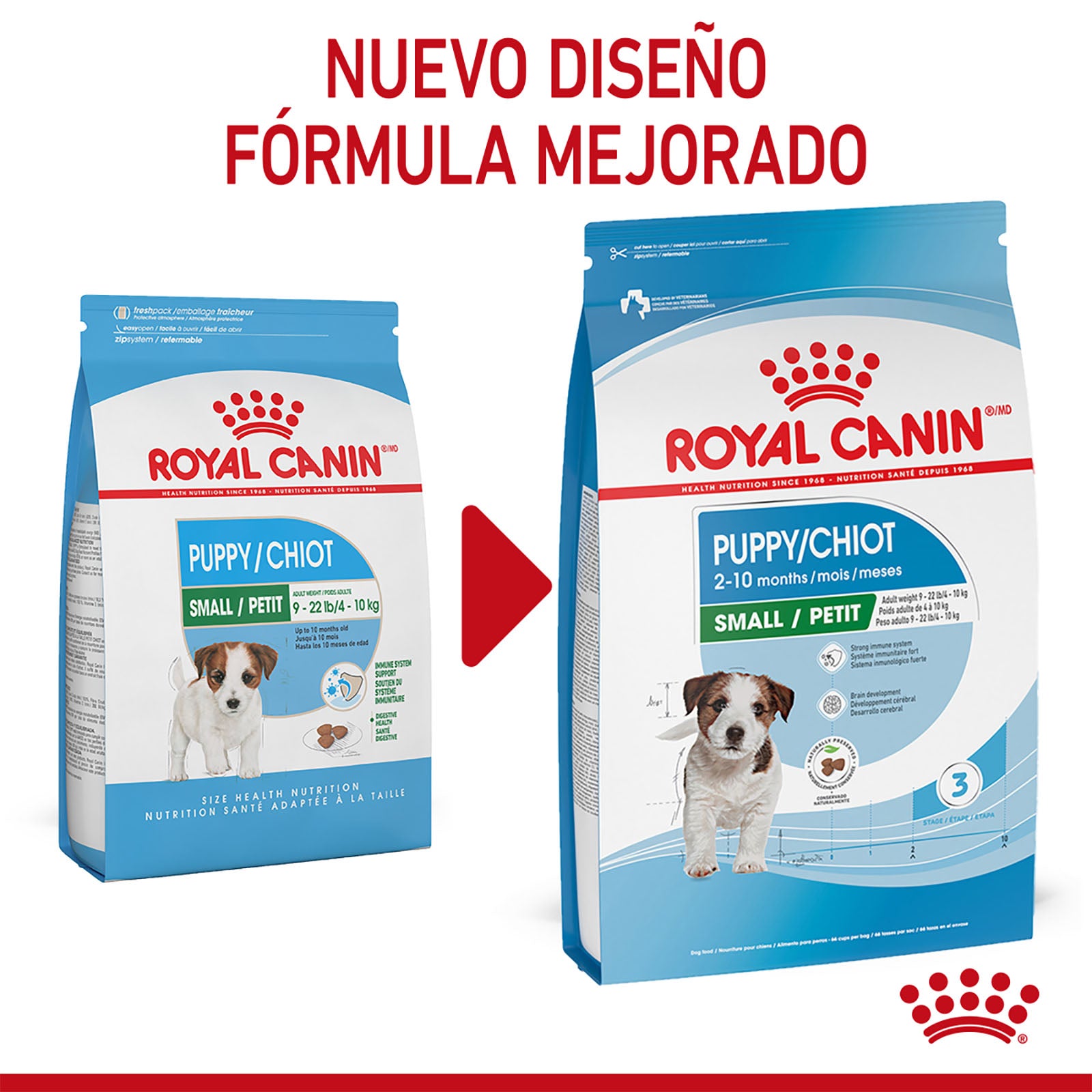 Royal Canin Cachorro Croquetas para Razas Pequeñas,