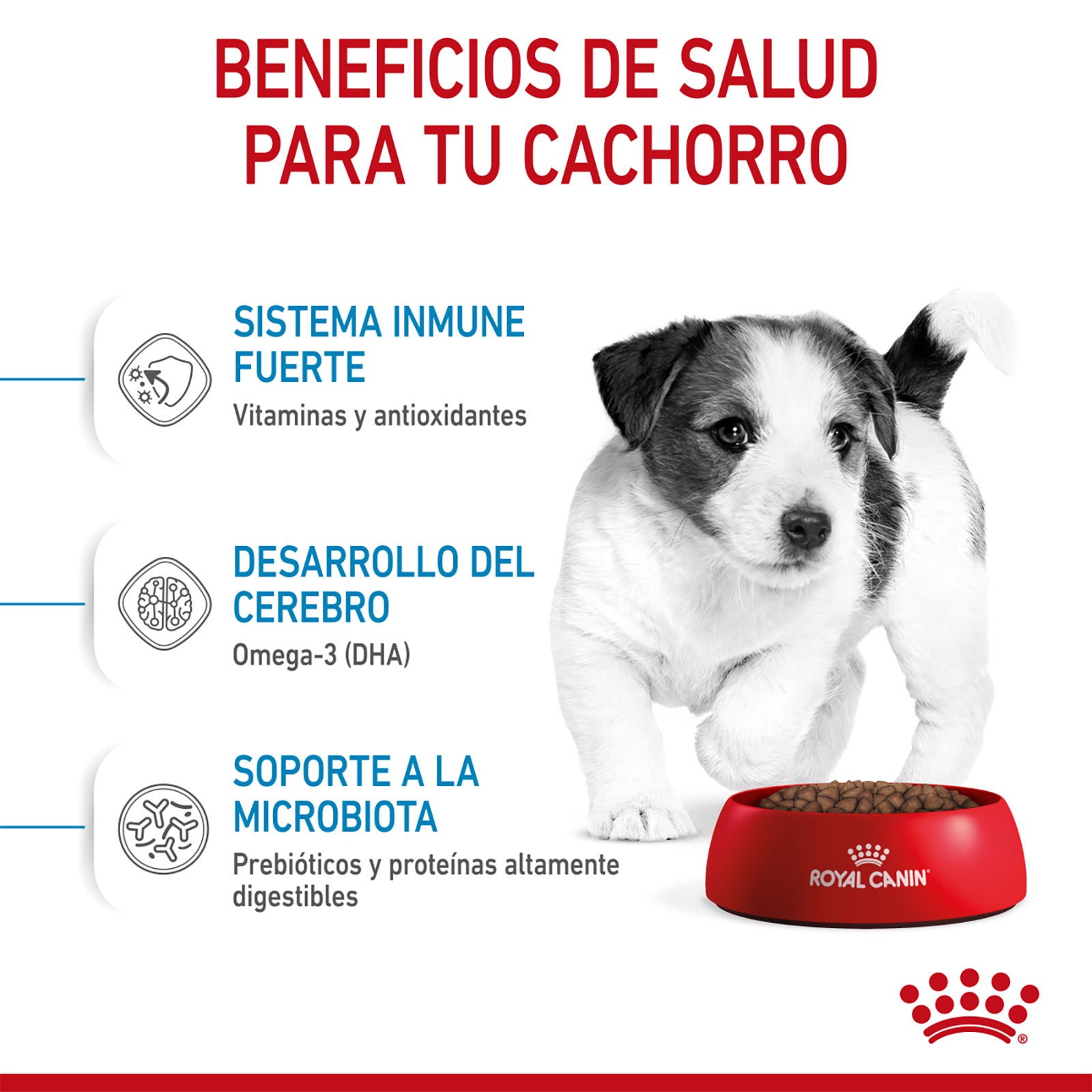 Royal Canin Cachorro Croquetas para Razas Pequeñas,