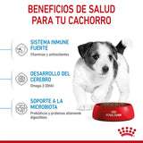 Royal Canin Cachorro Croquetas para Razas Pequeñas,