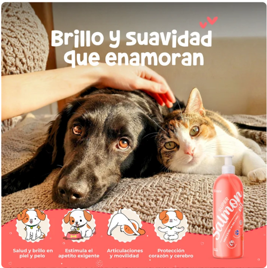 Waggy´s Super Salmón Oil - Salmón Silvestre con Omegas para Perros y Gatos
