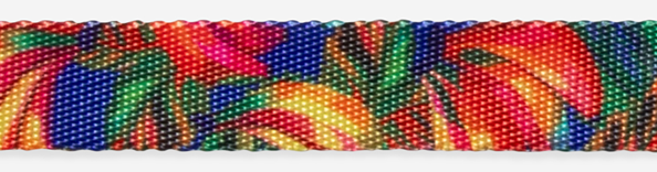 Collar Samba Río - para Perros