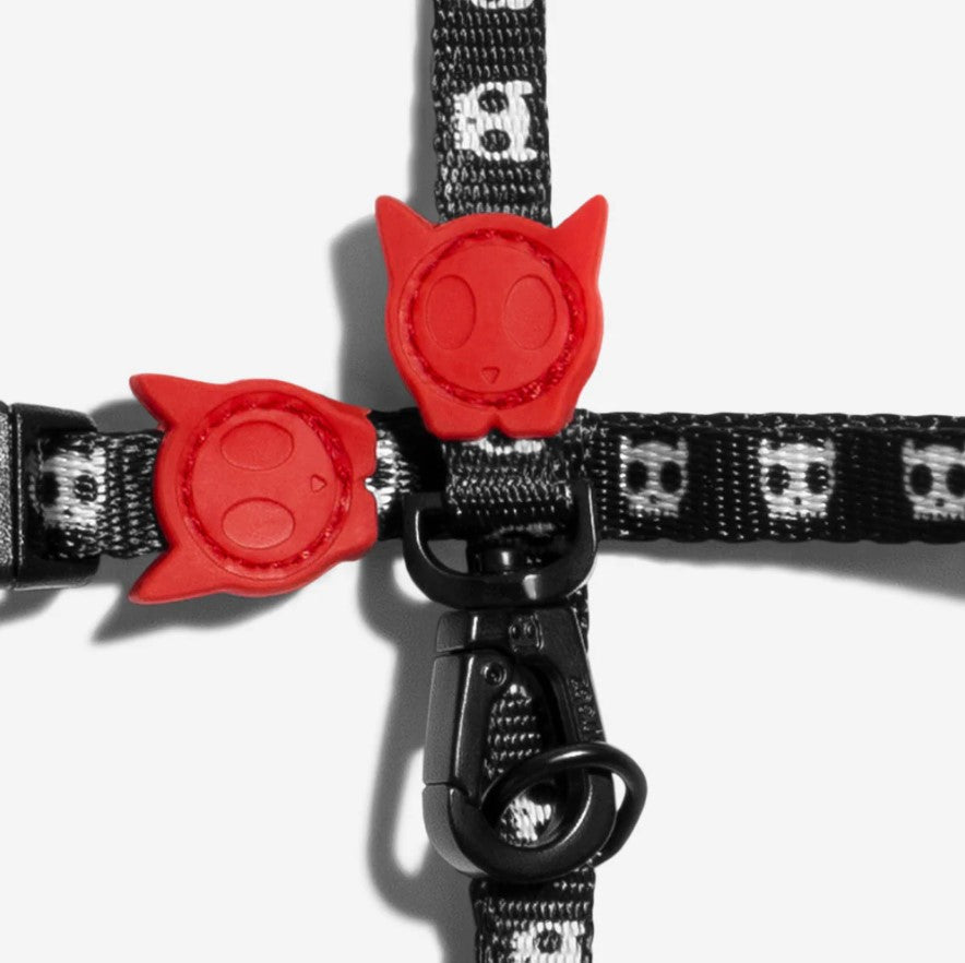Set Skull 2.0 Arnes Y Correa para gato