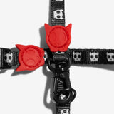 Set Skull 2.0 Arnes Y Correa para gato