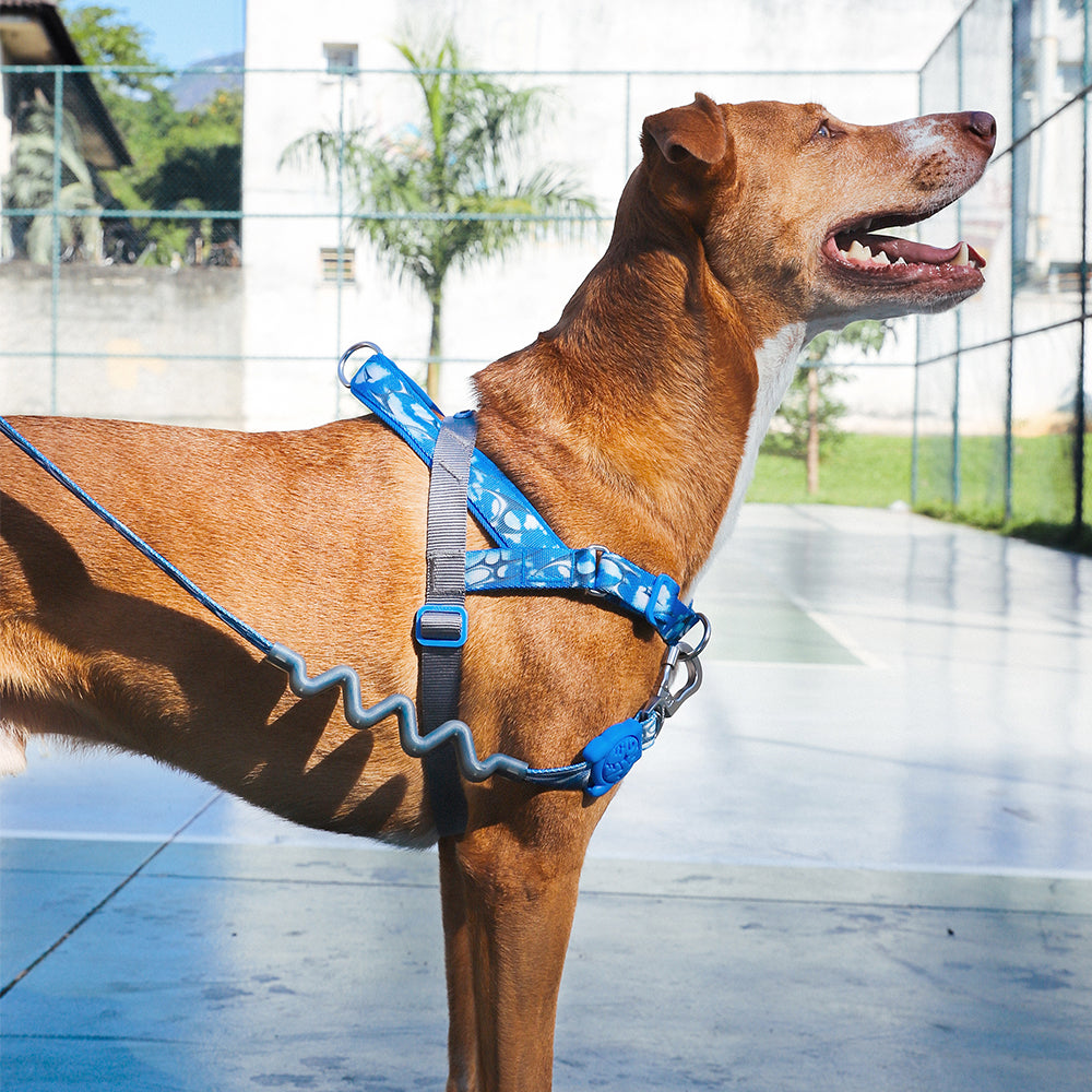 Arnés Softer Walk H3D fly by Zee.dog