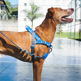 Arnés Softer Walk H3D fly by Zee.dog