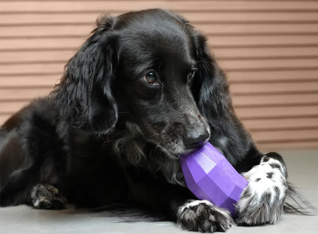 Superveggiez Eggplant