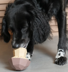 Superveggiez Mushroom