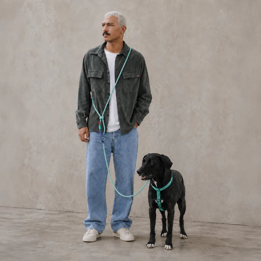 Correa manos libres - Vert Velvet Vibes Handsfree Leash by Zee.Dog