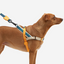 Arnés Voyage Softer Walk by Zee.dog