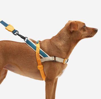 Arnés Voyage Softer Walk by Zee.dog
