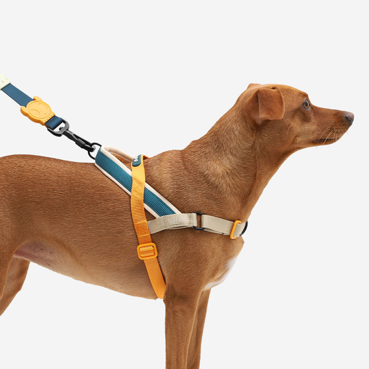Arnés Voyage Softer Walk by Zee.dog
