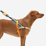 Arnés Voyage Softer Walk by Zee.dog