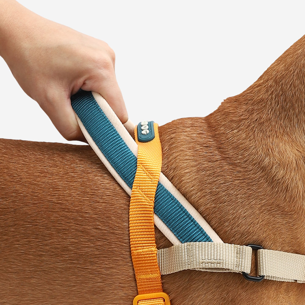 Arnés Voyage Softer Walk by Zee.dog