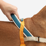Arnés Voyage Softer Walk by Zee.dog