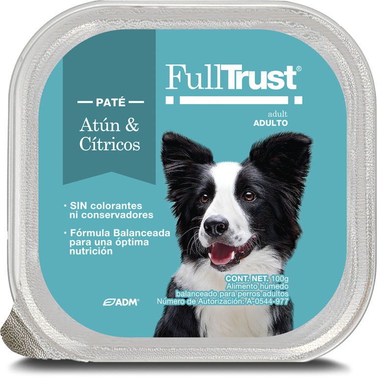 FullTrust Alimento Húmedo para Perro 100 g – 5 Sabores