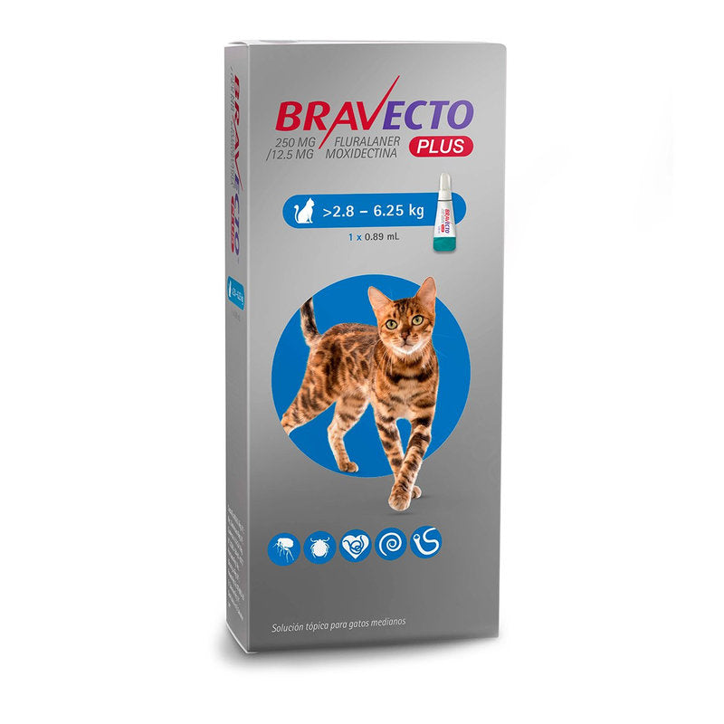 🐱 Bravecto Plus – Pipeta Desparasitante Interna y Externa para Gatos