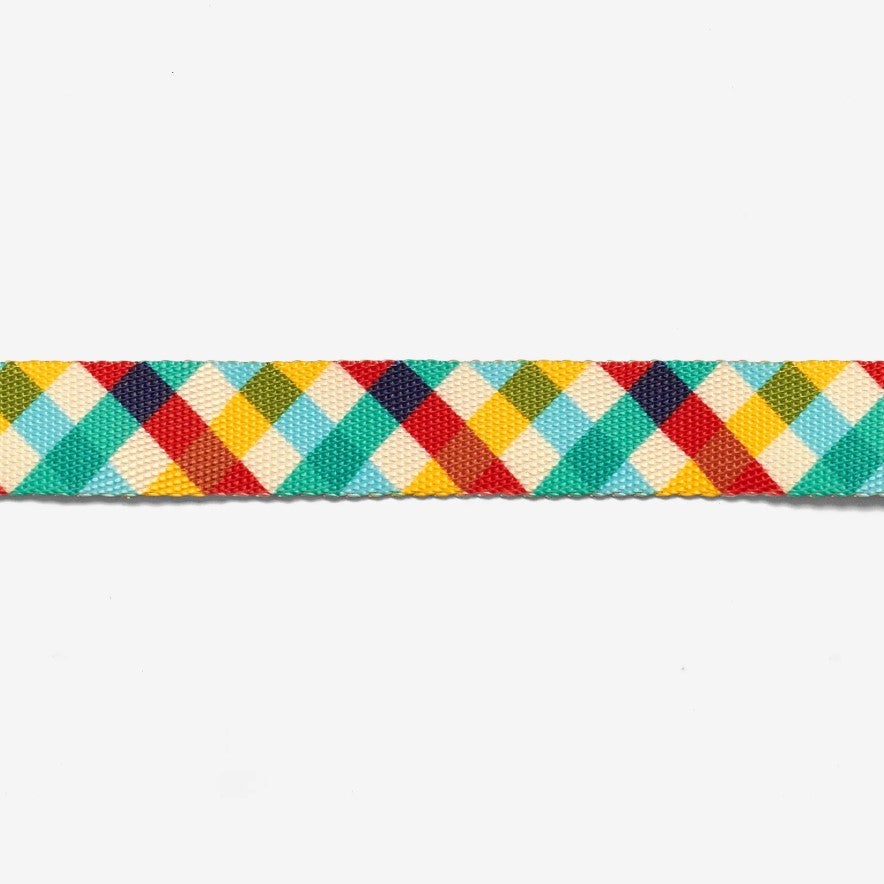 Phantom Cat Collar