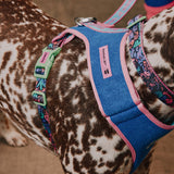 Arnés Ergonómico by Reebok Ajustable - para Perro Edición Limitada