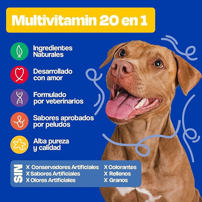 🐶 Dogelthy Multivitamínico 20 en 1 – Salud Completa para Perros