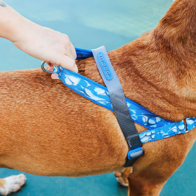 Arnés Softer Walk H3D fly by Zee.dog