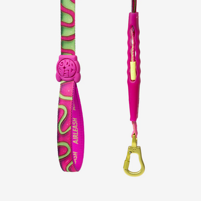 H3d Jelly Air Leash 1 mt by Zee.Dog