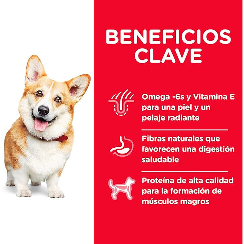 🐶 Hill's Science Diet Adult Small Bites – Croqueta Pequeña para Perros Adultos