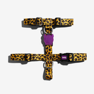 Arnés-H Honey by Zee.dog