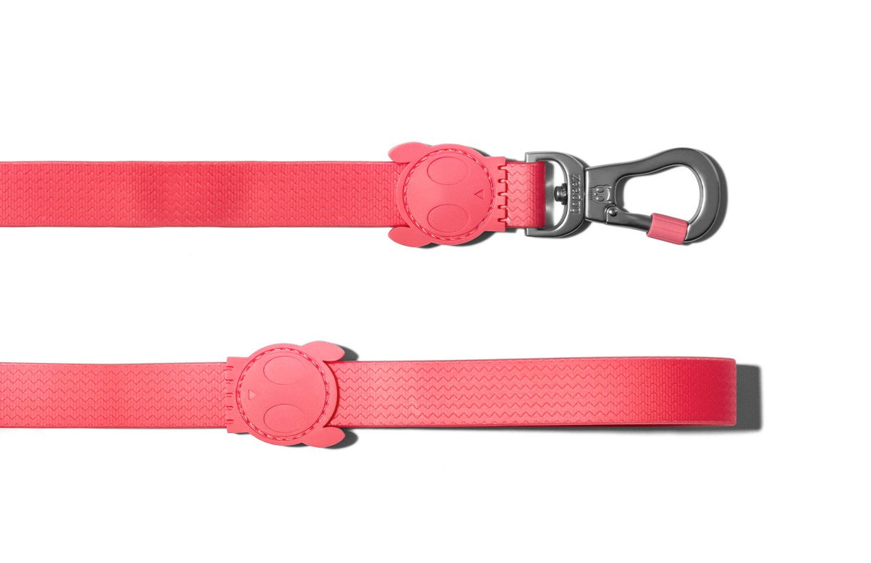 Correa Neopro Bubblegum by Zee.Dog