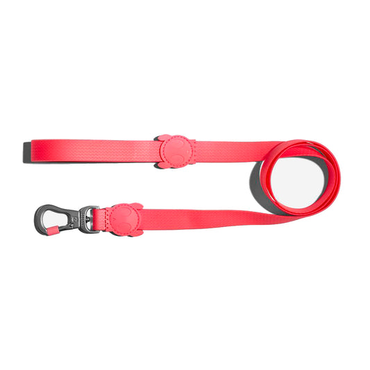 Correa Neopro Bubblegum by Zee.Dog
