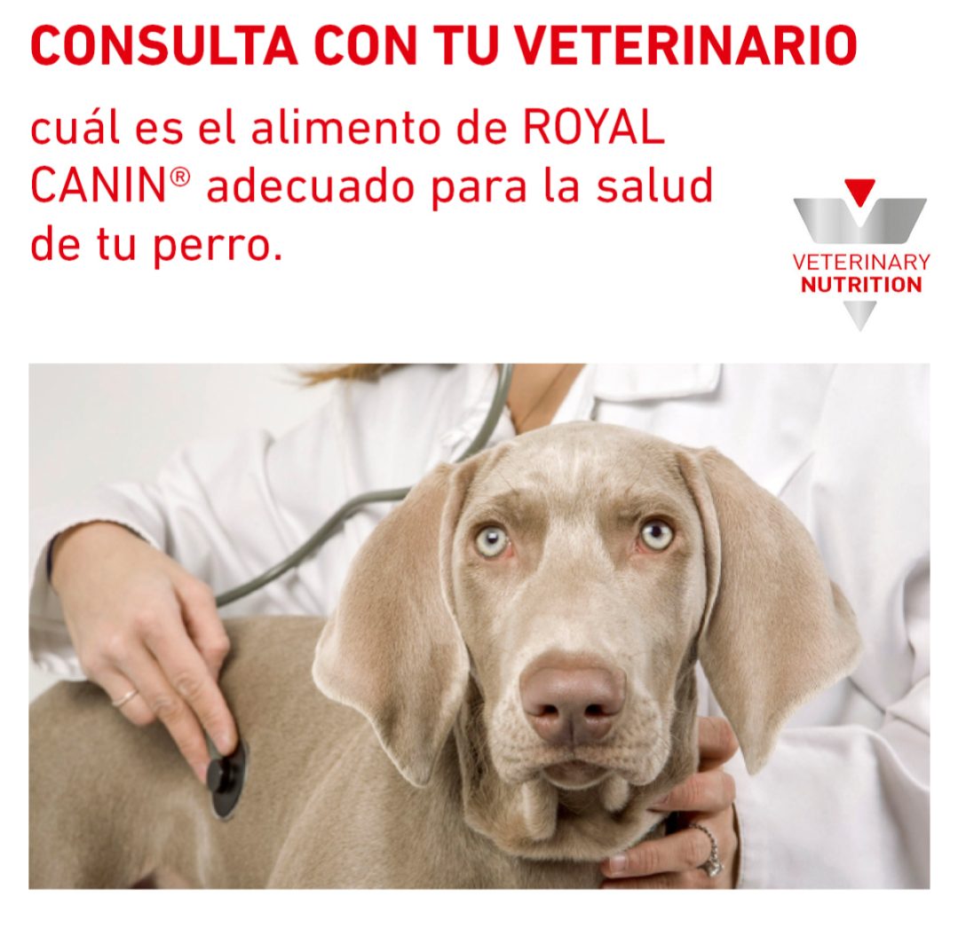 Royal Canin Veterinary Diet. Alimento Húmedo Gastrointestinal