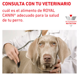 Royal Canin Veterinary Diet. Alimento Húmedo Gastrointestinal