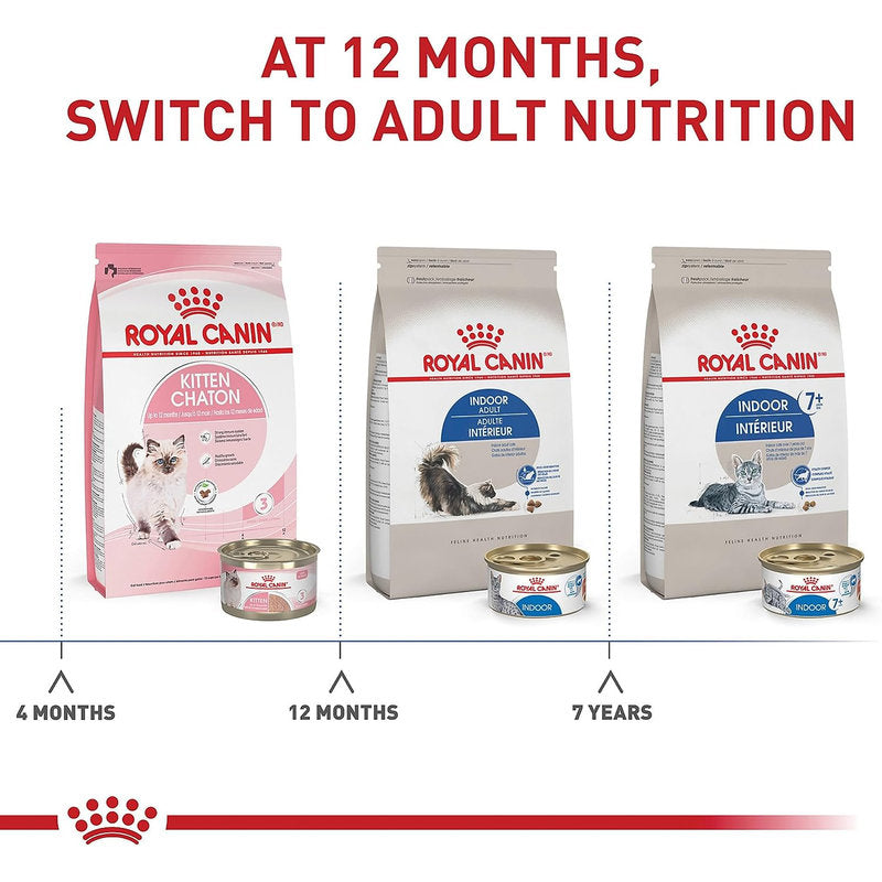 🐱 Royal Canin Adult Feline – Alimento para Gato Adulto