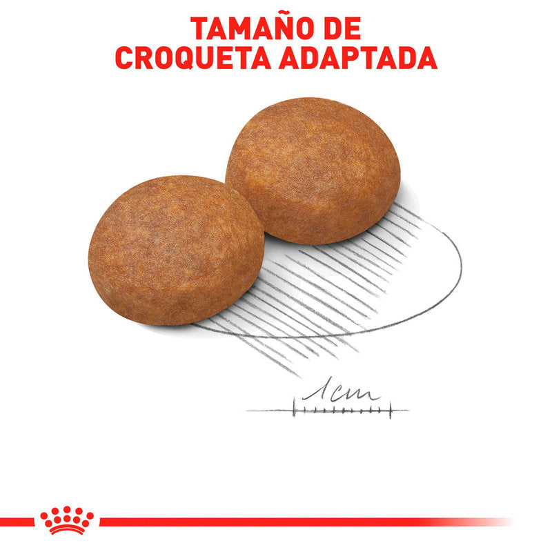 🐶 Royal Canin Croquetas Para Razas Medianas
