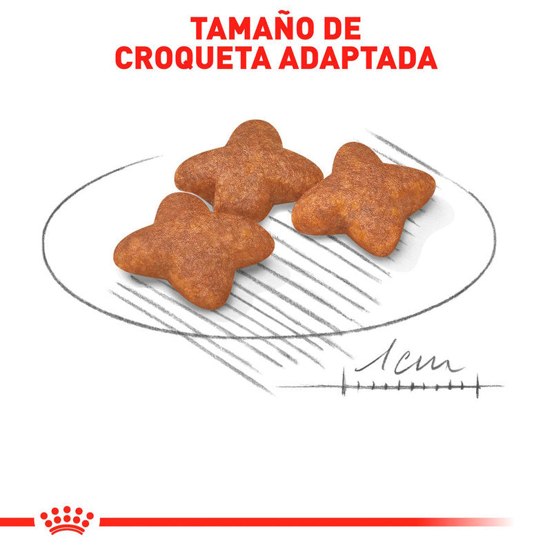 🐶 Royal Canin Croquetas para Razas Pequeñas, Mini Adult